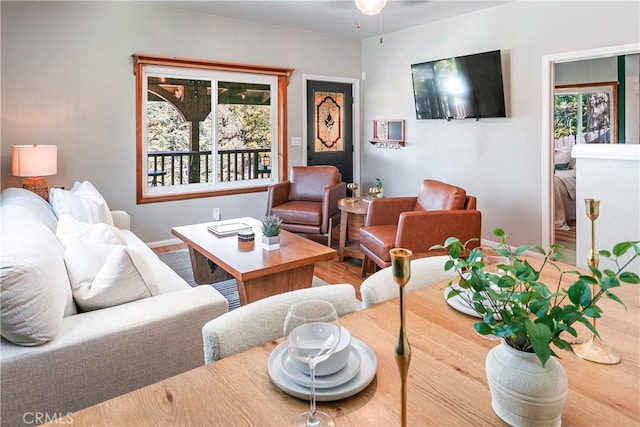 living room featuring hardwood / wood-style flooring and ceiling fan