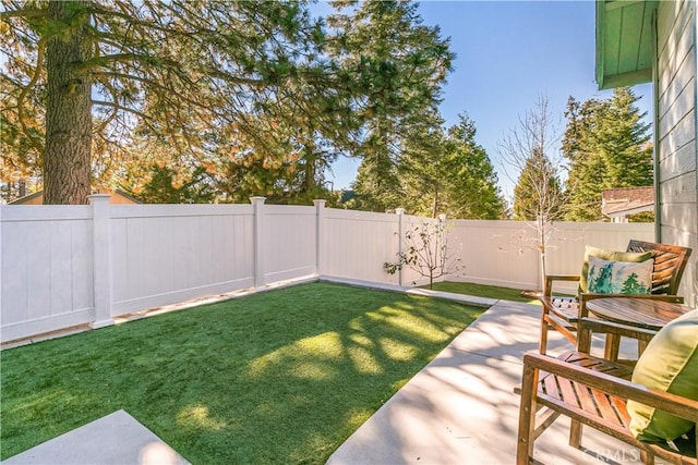 view of yard with a patio