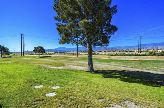 view of yard featuring a mountain view