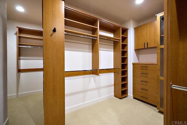 walk in closet with carpet floors