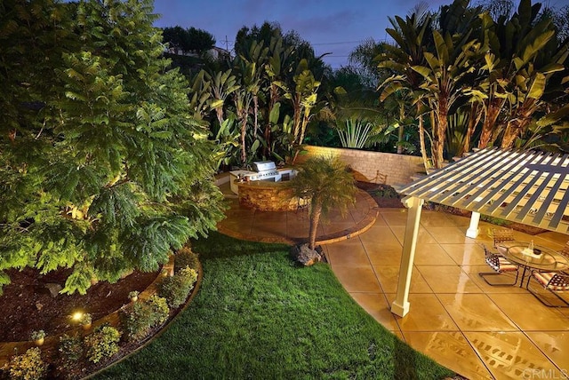 view of yard with a patio area and an outdoor kitchen