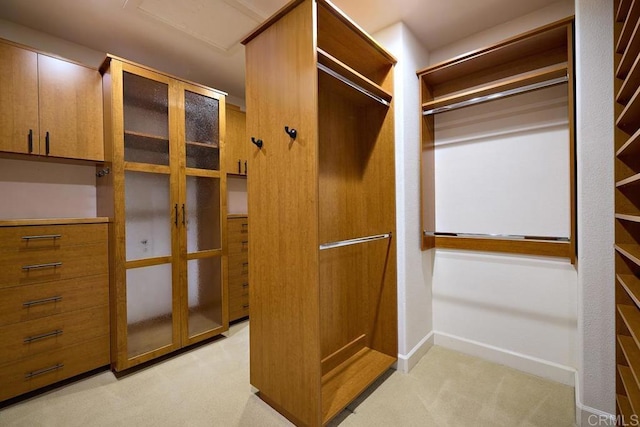 walk in closet with light carpet