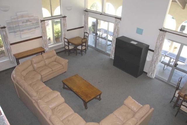 living room with dark colored carpet and a high ceiling