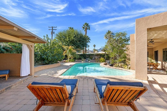 view of swimming pool featuring a patio area and ceiling fan