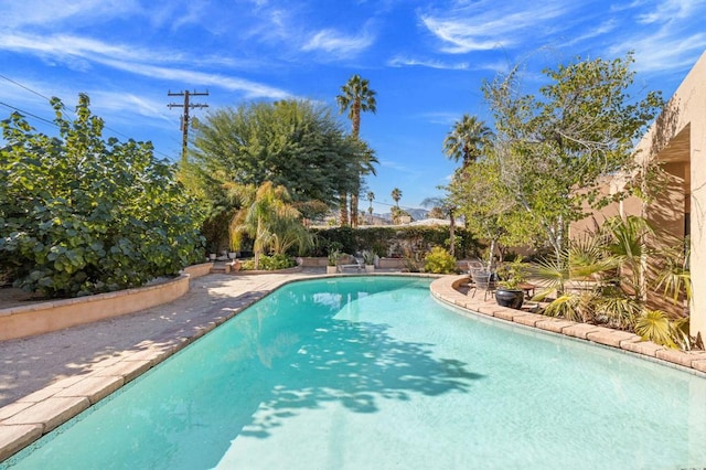 view of swimming pool