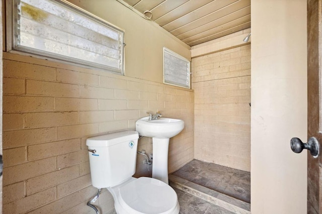 bathroom with toilet and a shower