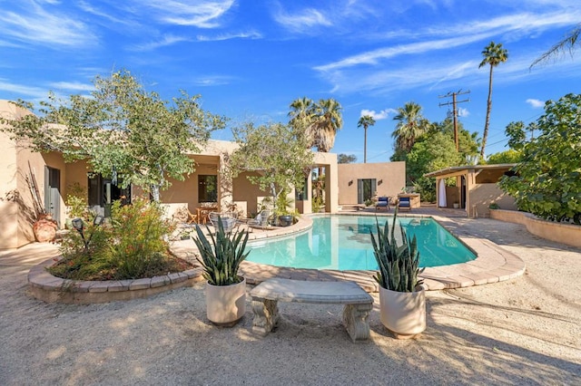 view of swimming pool with a patio