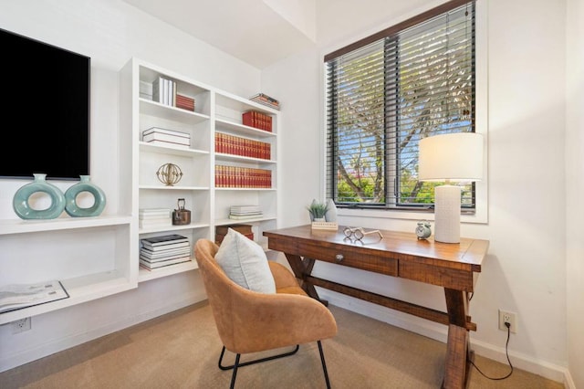 view of carpeted home office