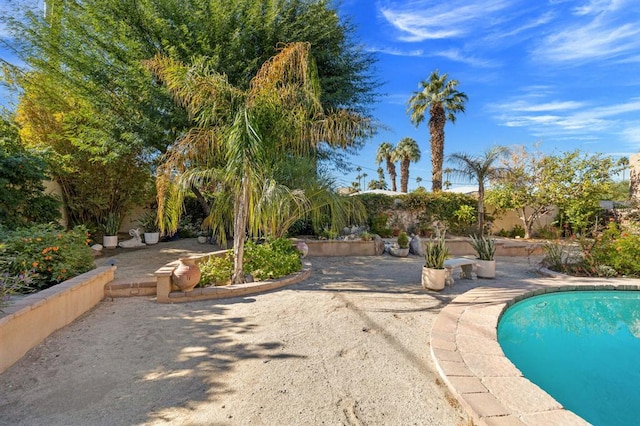 view of pool featuring a patio