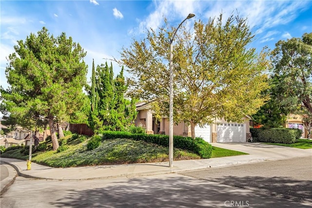 view of property hidden behind natural elements featuring a garage