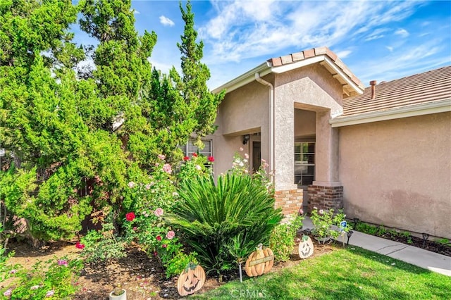 entrance to property with a yard