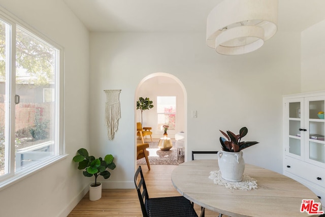 dining space featuring a healthy amount of sunlight and light hardwood / wood-style floors