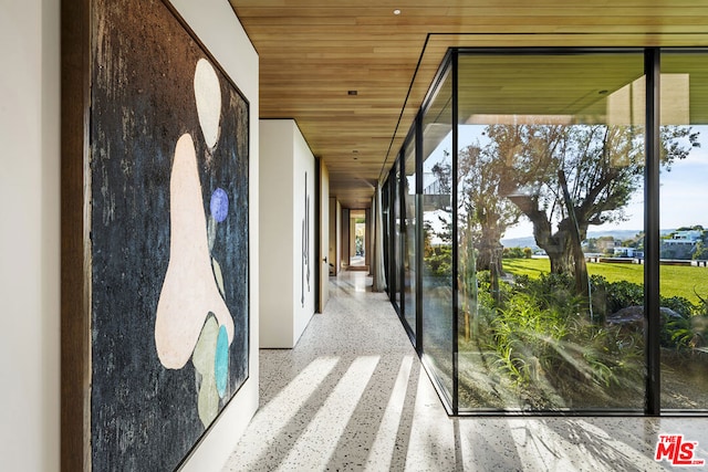 hall featuring a wealth of natural light and wooden ceiling