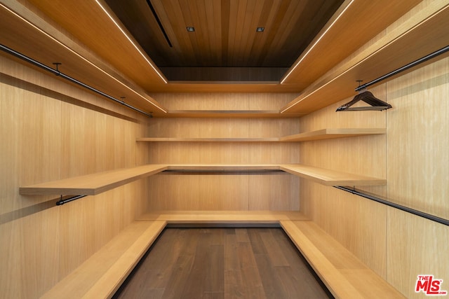 walk in closet featuring wood-type flooring