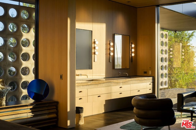 bathroom featuring hardwood / wood-style flooring and vanity