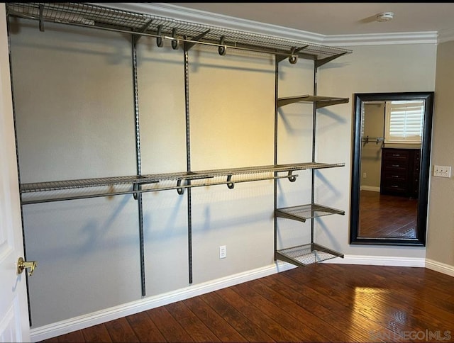 spacious closet with hardwood / wood-style flooring