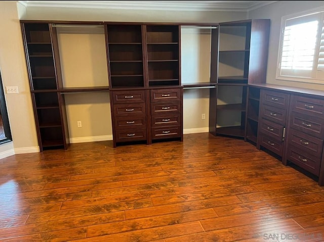 spacious closet with dark hardwood / wood-style floors