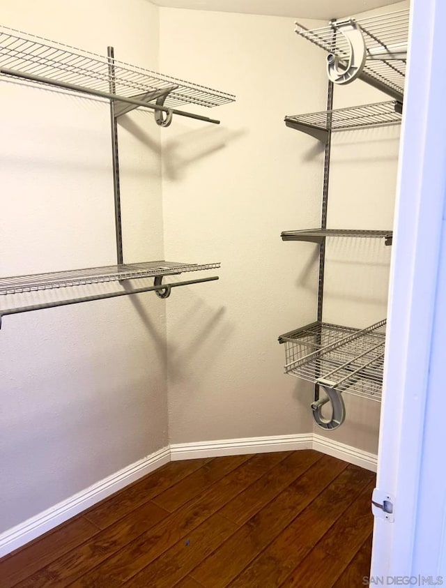 spacious closet featuring dark hardwood / wood-style flooring