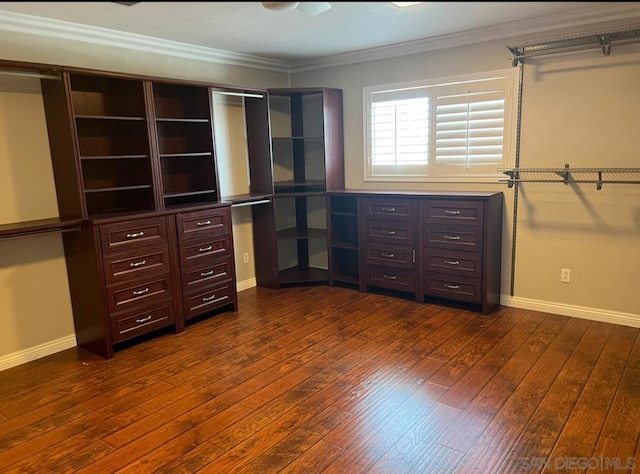 walk in closet with dark hardwood / wood-style flooring