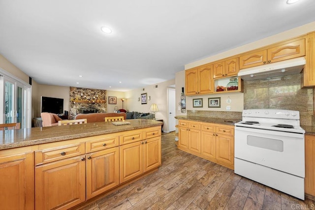 kitchen featuring under cabinet range hood, dark wood-style flooring, a fireplace, open floor plan, and white electric range oven