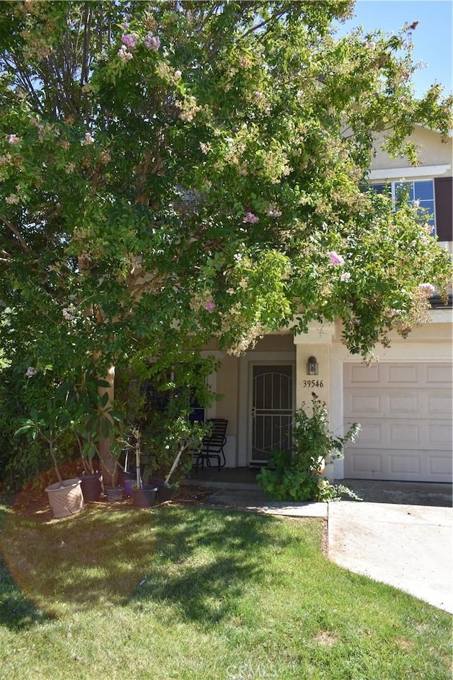 view of property hidden behind natural elements with a front lawn and a garage