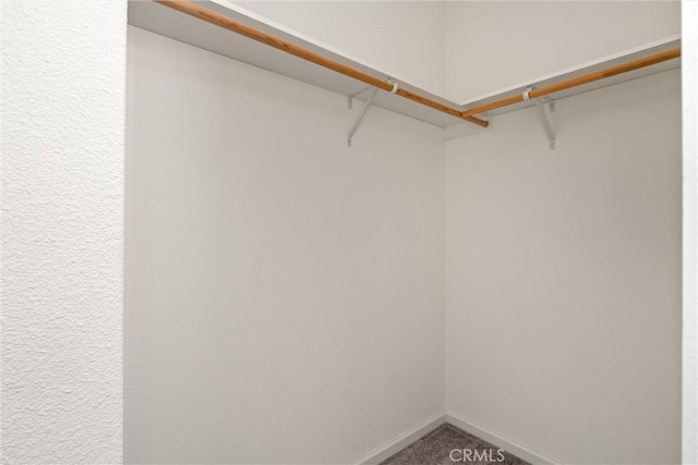 spacious closet with carpet floors