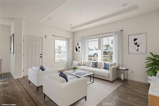 living room with a tray ceiling and wood-type flooring