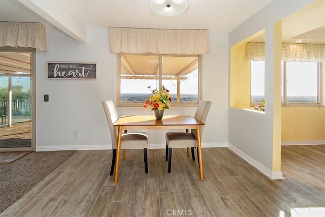 dining space featuring hardwood / wood-style floors