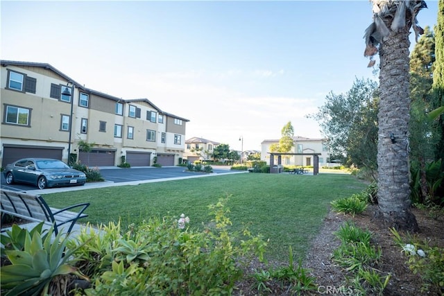 view of community with a lawn