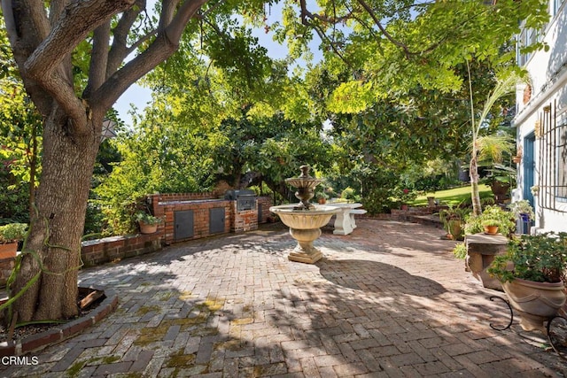 view of patio featuring grilling area and exterior kitchen