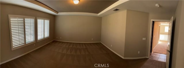 empty room featuring carpet and a wealth of natural light