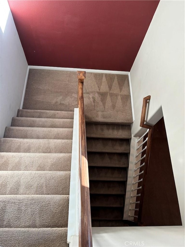 stairway with carpet floors