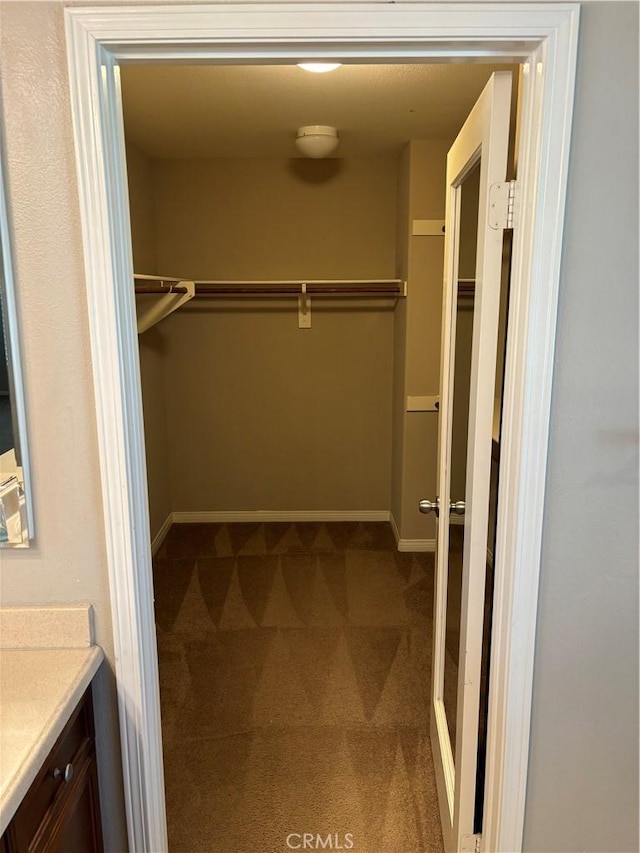 spacious closet featuring carpet floors