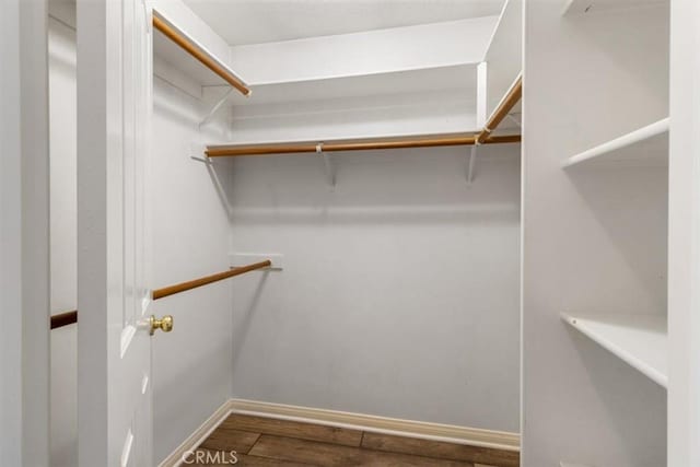 spacious closet featuring wood finished floors