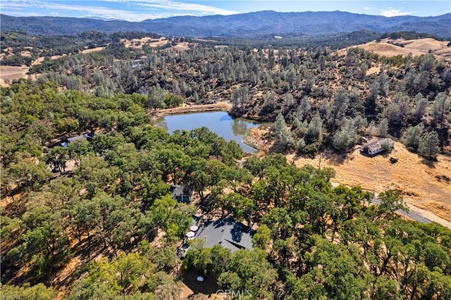 birds eye view of property with a water and mountain view