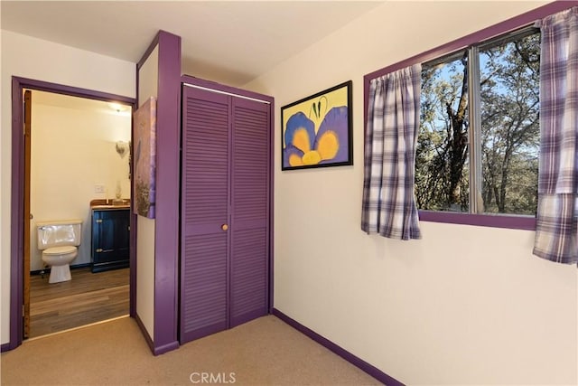 interior space featuring carpet, connected bathroom, and a closet