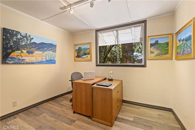 home office featuring light hardwood / wood-style floors and crown molding