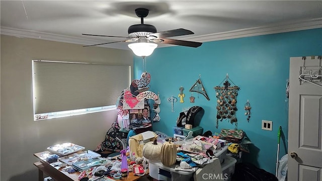 bedroom with ceiling fan and ornamental molding