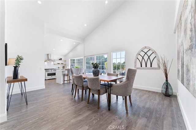 dining area with dark hardwood / wood-style flooring and high vaulted ceiling