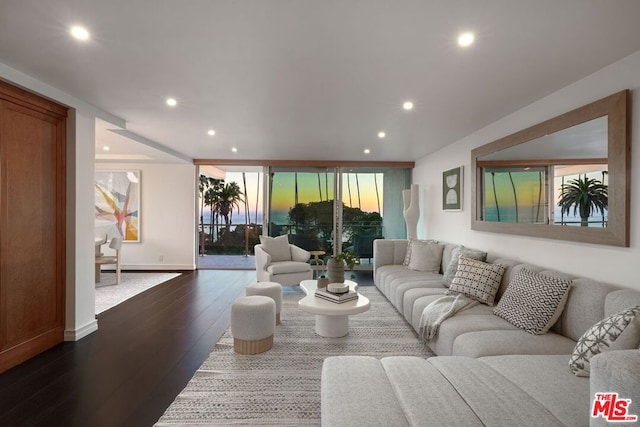 living room featuring a healthy amount of sunlight and dark wood-type flooring