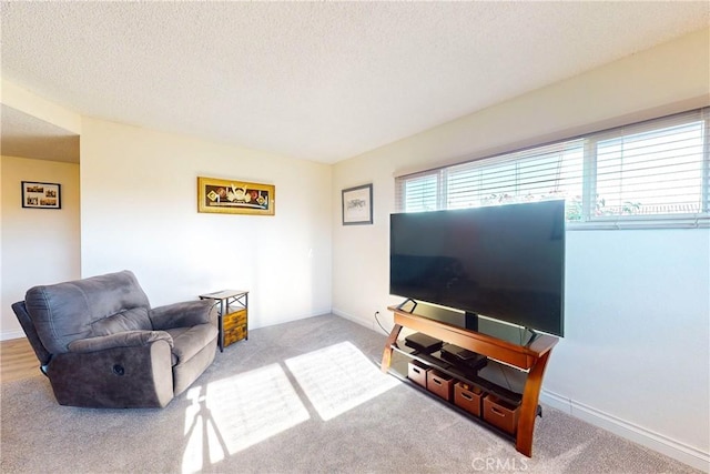 carpeted living room with a textured ceiling