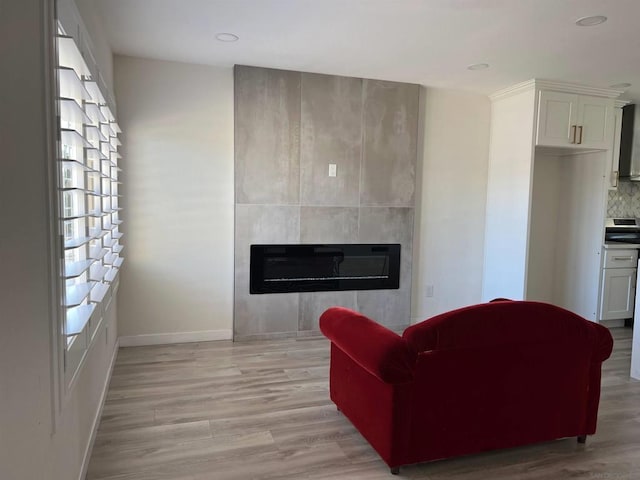 living room featuring a large fireplace and light hardwood / wood-style floors