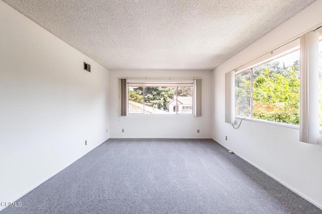 spare room with carpet floors and a textured ceiling