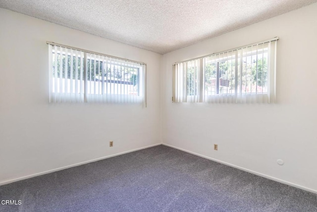 empty room featuring carpet, a textured ceiling, and a healthy amount of sunlight