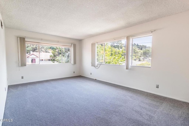 empty room with a wealth of natural light, carpet, and a textured ceiling