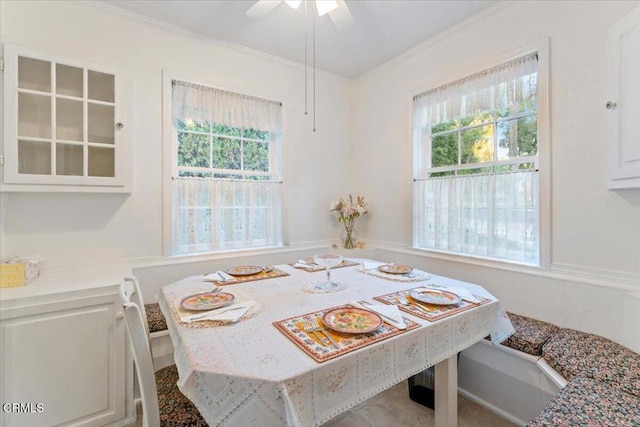 dining room featuring a wealth of natural light, crown molding, and ceiling fan