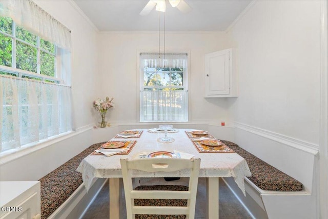 dining area with ceiling fan and crown molding