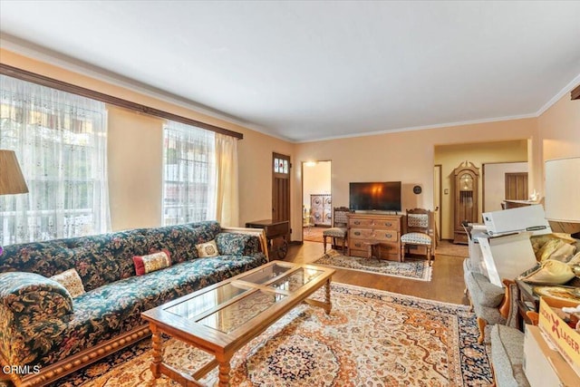 living room featuring light hardwood / wood-style flooring and ornamental molding