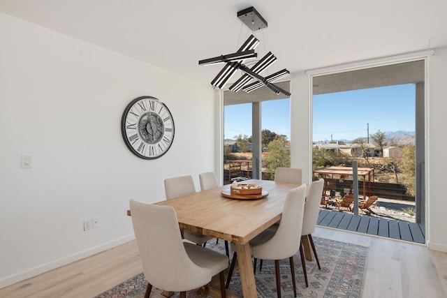 dining area with light hardwood / wood-style flooring