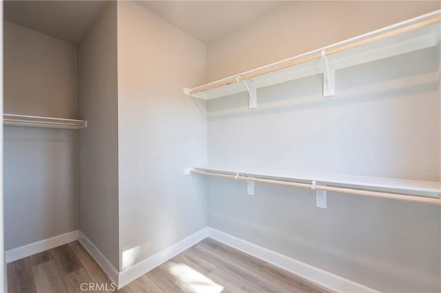 spacious closet with light wood-type flooring